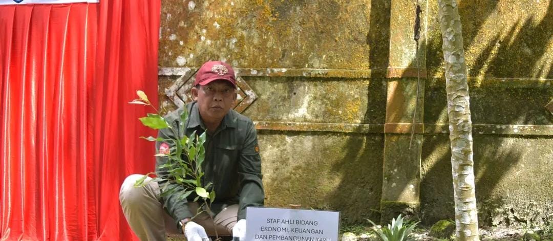 BI Kaltara Tanam 300 Pohon di Gunung Putih, Dukung Komitmen Net Zero Emission 2060