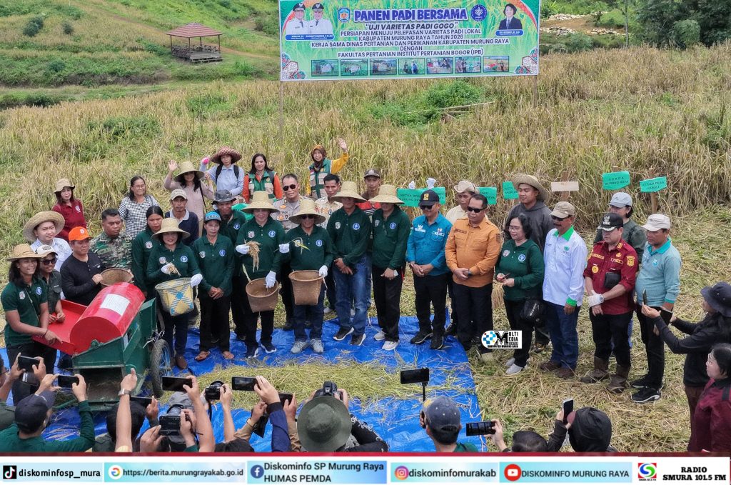 Bupati Heriyus Dorong Murung Raya Miliki Varietas Unggul Padi