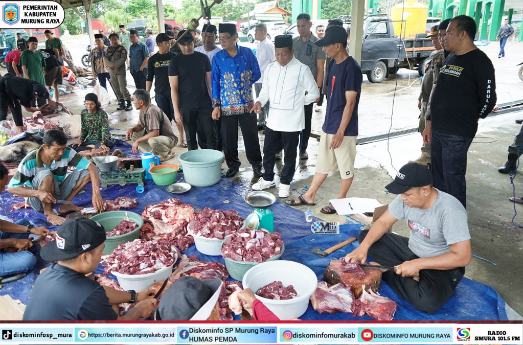 Bupati Heriyus Pantau Pembagian Hewan Kurban di Sejumlah Masjid di Puruk Cahu