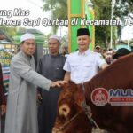 Bupati Jaya Monong Serahkan 6 Sapi Qurban di Tewah