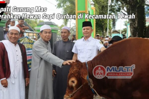 Bupati Jaya Monong Serahkan 6 Sapi Qurban di Tewah