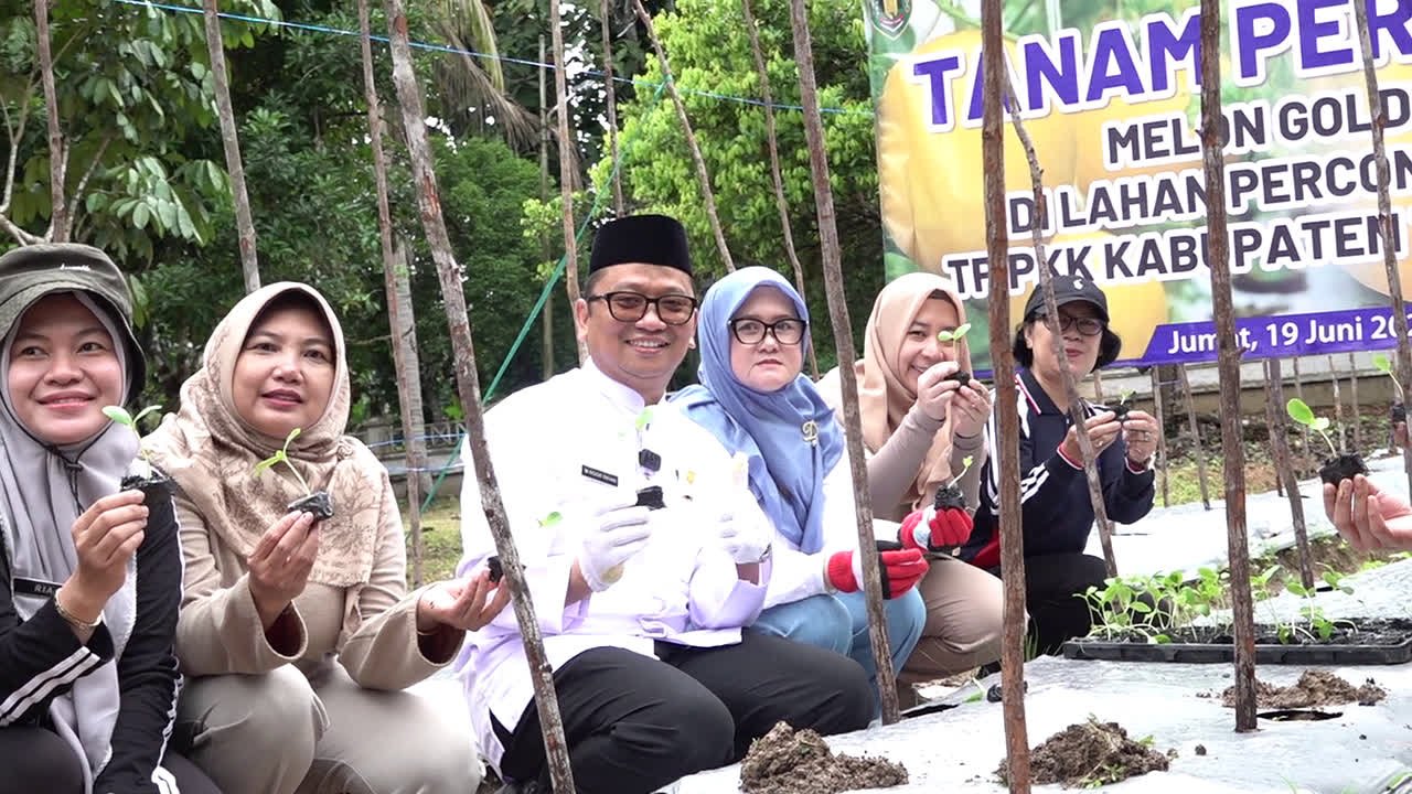 Bupati Tabalong Dan Istri Tanam Melon Di Pekarangan Rumah, Dorong Ketahanan Pangan Keluarga