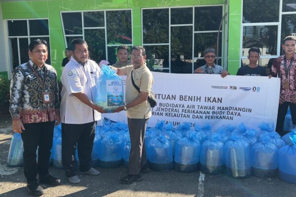 DKP3 Tabalong Salurkan 100 Ribu Benih Lele, Dongkrak Produksi Perikanan dan Ekonomi Desa