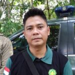 Orangutan Rusak Kebun Warga, BKSDA Tingkatkan Pemantauan di Desa Habau