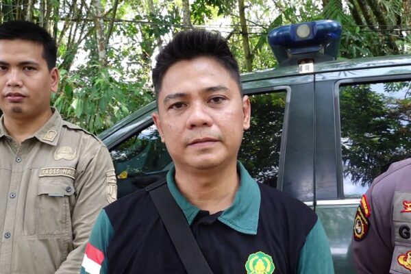 Orangutan Rusak Kebun Warga, BKSDA Tingkatkan Pemantauan di Desa Habau