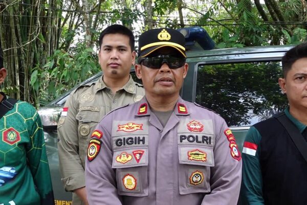 Polsek Banua Lawas Imbau Warga Tak Lukai Orangutan, Evakuasi Terus Diupayakan