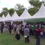 91 Pelamar Diterima Bekerja, Hasil Job Fair Tabalong Masih Berpotensi Bertambah