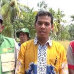 DKP3 Tabalong Beri Pelatihan Alsintan, Dorong Petani Maksimalkan Bantuan Combine Harvester