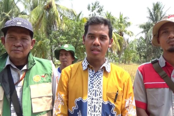 DKP3 Tabalong Beri Pelatihan Alsintan, Dorong Petani Maksimalkan Bantuan Combine Harvester