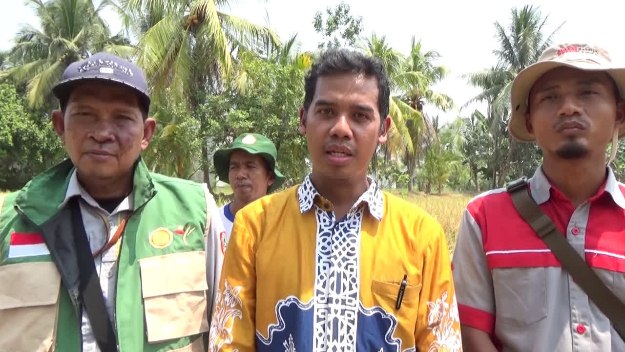 DKP3 Tabalong Beri Pelatihan Alsintan, Dorong Petani Maksimalkan Bantuan Combine Harvester