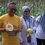 H. Fani & Istri Panen Melon di Kebun PKK, Dorong Ketahanan Pangan Keluarga