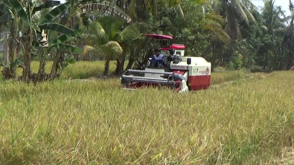 Perawatan Rutin, Kunci Perpanjang Usia Pakai Combine Harvester