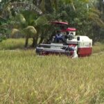 Perawatan Rutin, Kunci Perpanjang Usia Pakai Combine Harvester