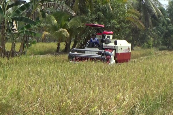 Perawatan Rutin, Kunci Perpanjang Usia Pakai Combine Harvester