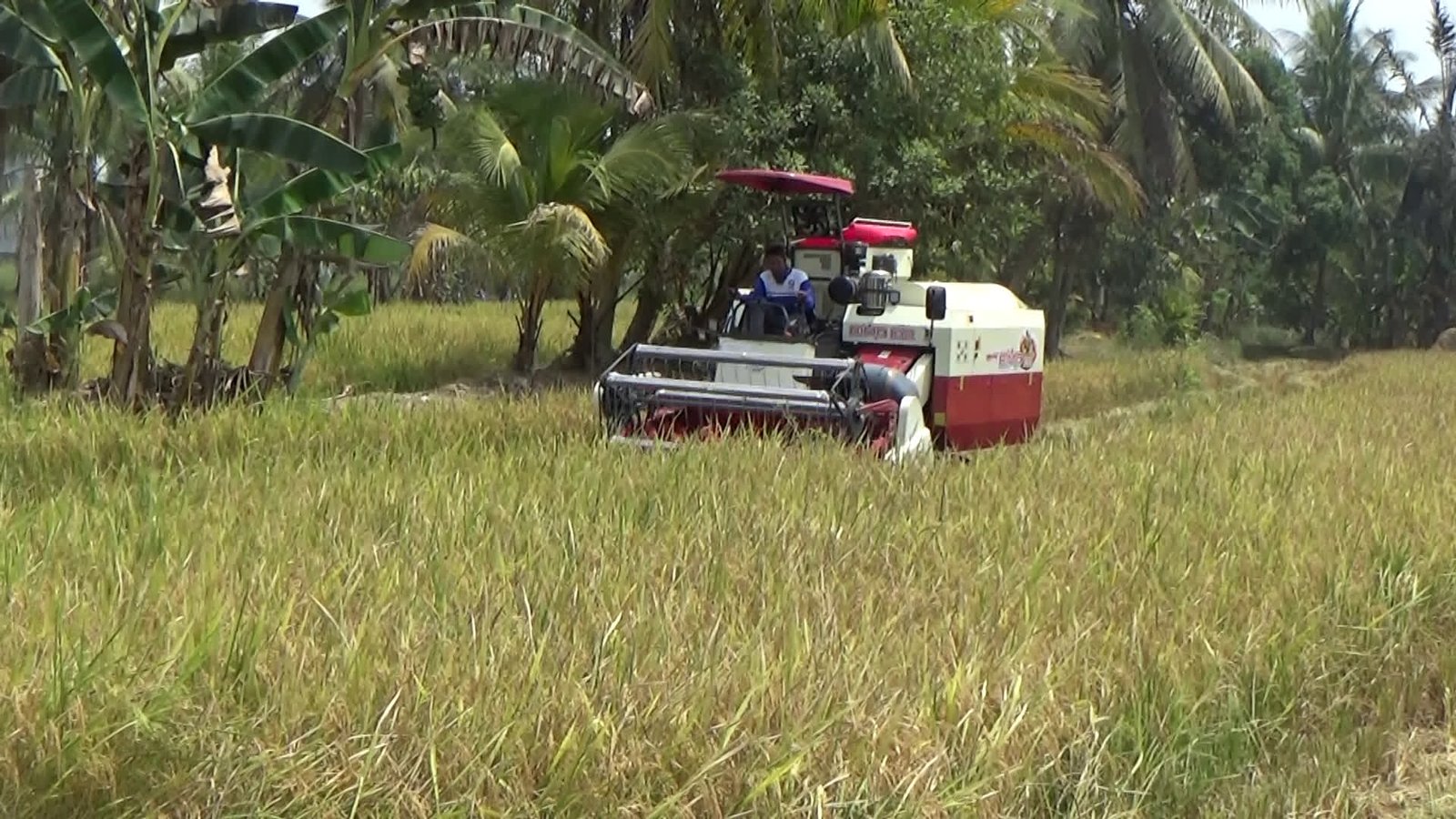 Perawatan Rutin, Kunci Perpanjang Usia Pakai Combine Harvester