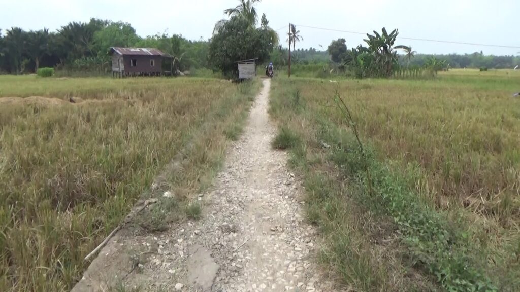 Permudah Angkut Hasil Panen, Poktan Padang Sari Usulkan Jalan Usaha Tani