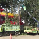 Permudah Pelayanan RTH, DLH Tabalong Hadirkan SIAP-RTH