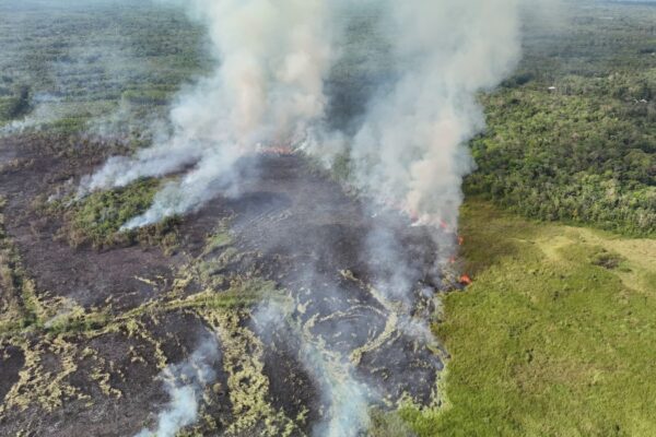 Tabalong Siaga Darurat Karhutla, 28 Titik Api Terdeteksi dengan 122 Ha Lahan Terbakar