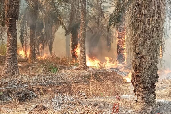 Lahan Sawit PT STP-1 Wilmar Grup Terbakar, Pemukiman Warga Dikepung Asap Karhutla