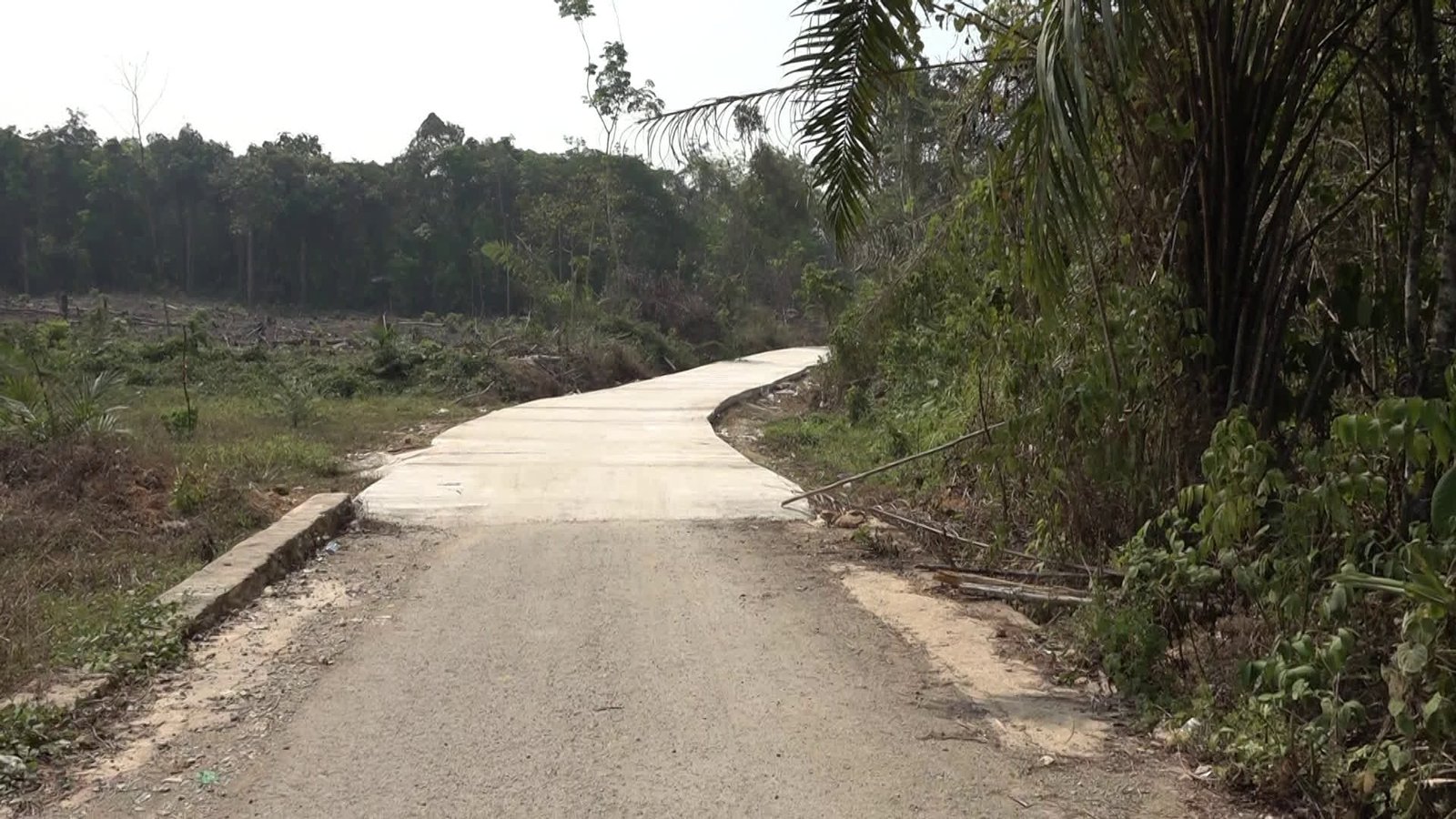 Bupati Tinjau Jalan Kaong–Liyu, Perkuat Konektivitas Tabalong–Balangan