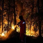 Kalteng Tertinggi Dua Besar Kejadian Karhutla di Enam Provinsi