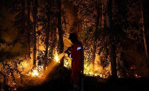 Kalteng Tertinggi Dua Besar Kejadian Karhutla di Enam Provinsi