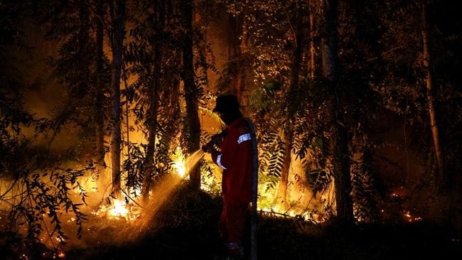 Kalteng Tertinggi Dua Besar Kejadian Karhutla di Enam Provinsi
