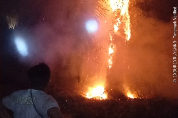 Lahan Sawit PT STP-1 Wilmar Grup Terbakar, Pemukiman Warga Dikepung Karhutla