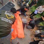 Motor Slip di Bahu Jalan, Pengendara Tewas Terlindas Avanza