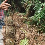 Pesiksa CCTV, Polisi Dalam Temuan Rumput Pemicu Api