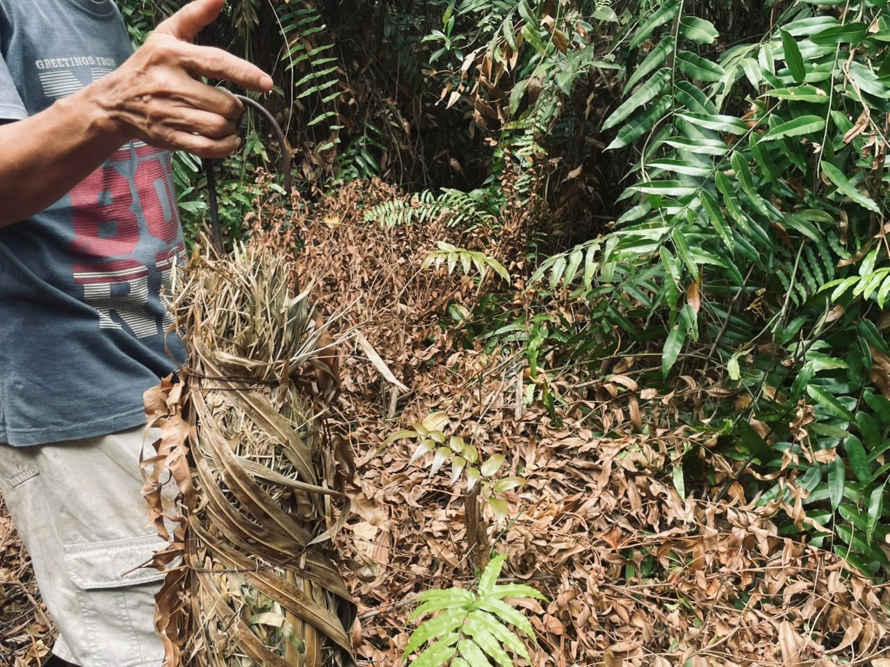 Pesiksa CCTV, Polisi Dalam Temuan Rumput Pemicu Api