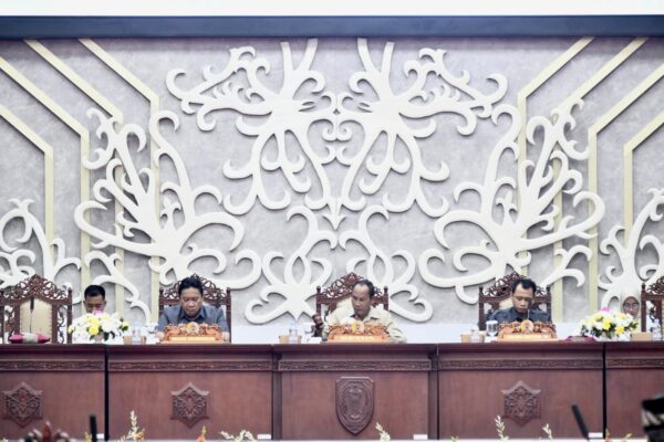 Wapres Dijadwalkan Kunjungi Kalteng Besok, Edy Pratowo: Terkait Pengawasan Karhutla
