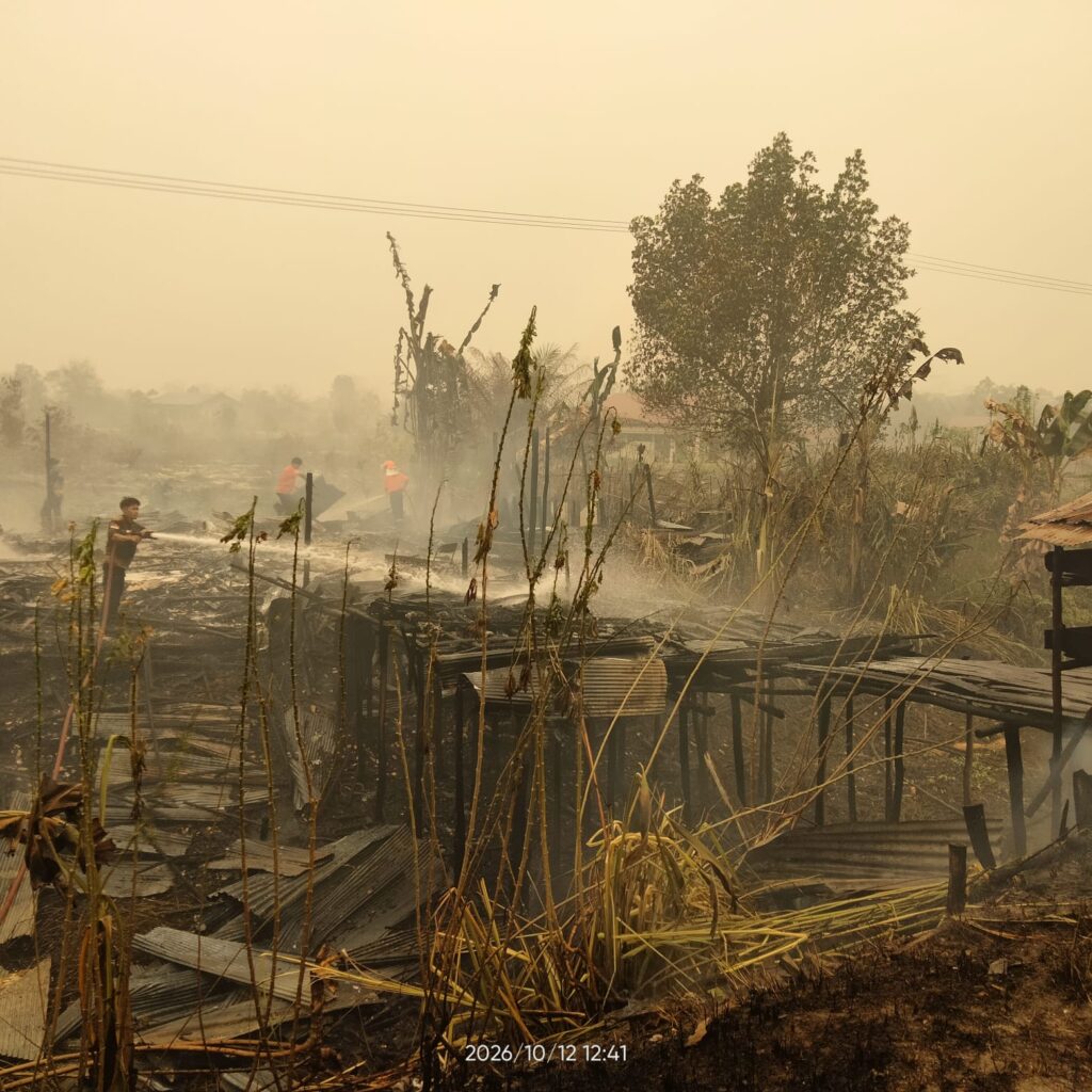 Api Diduga dari Karhutla, Kerugian Rp50 Juta
