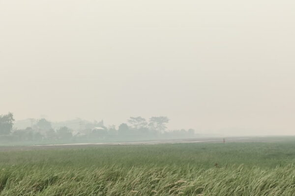 Penerbangan Sampit Lumpuh Total