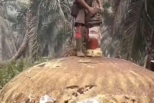 Teka-Teki Puing Pertama Belum Terungkap, Benda Antariksa Kembali Ditemukan di Kotim